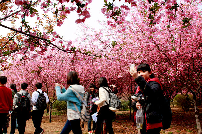 郑州大学景色